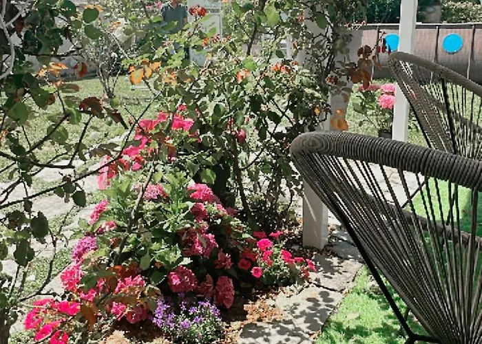 Villa Souari 10' Da Forte De Marmi - 2Km Spiaggia